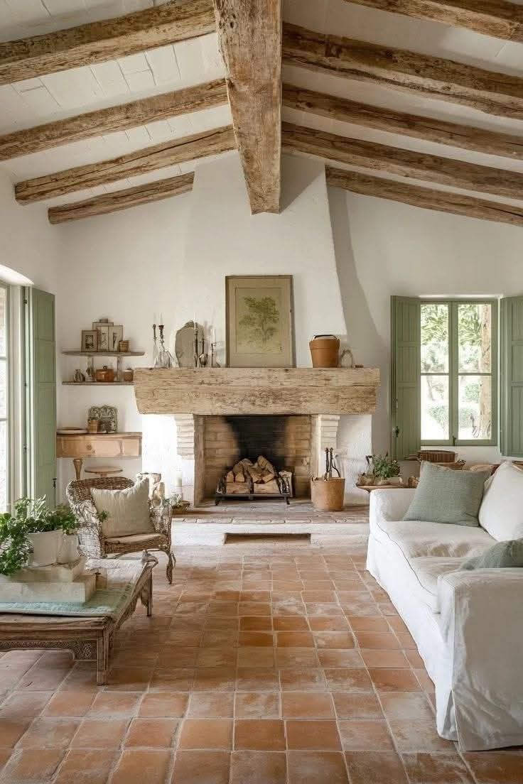 Should You Dust or Vacuum First?